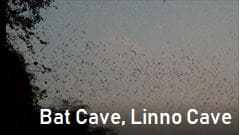 hpa-an bat caveALinno Cave,@pEAApAAHpa-anApa-an